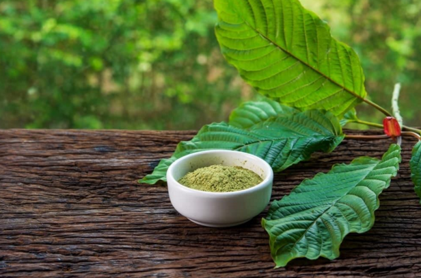 Thai Kratom